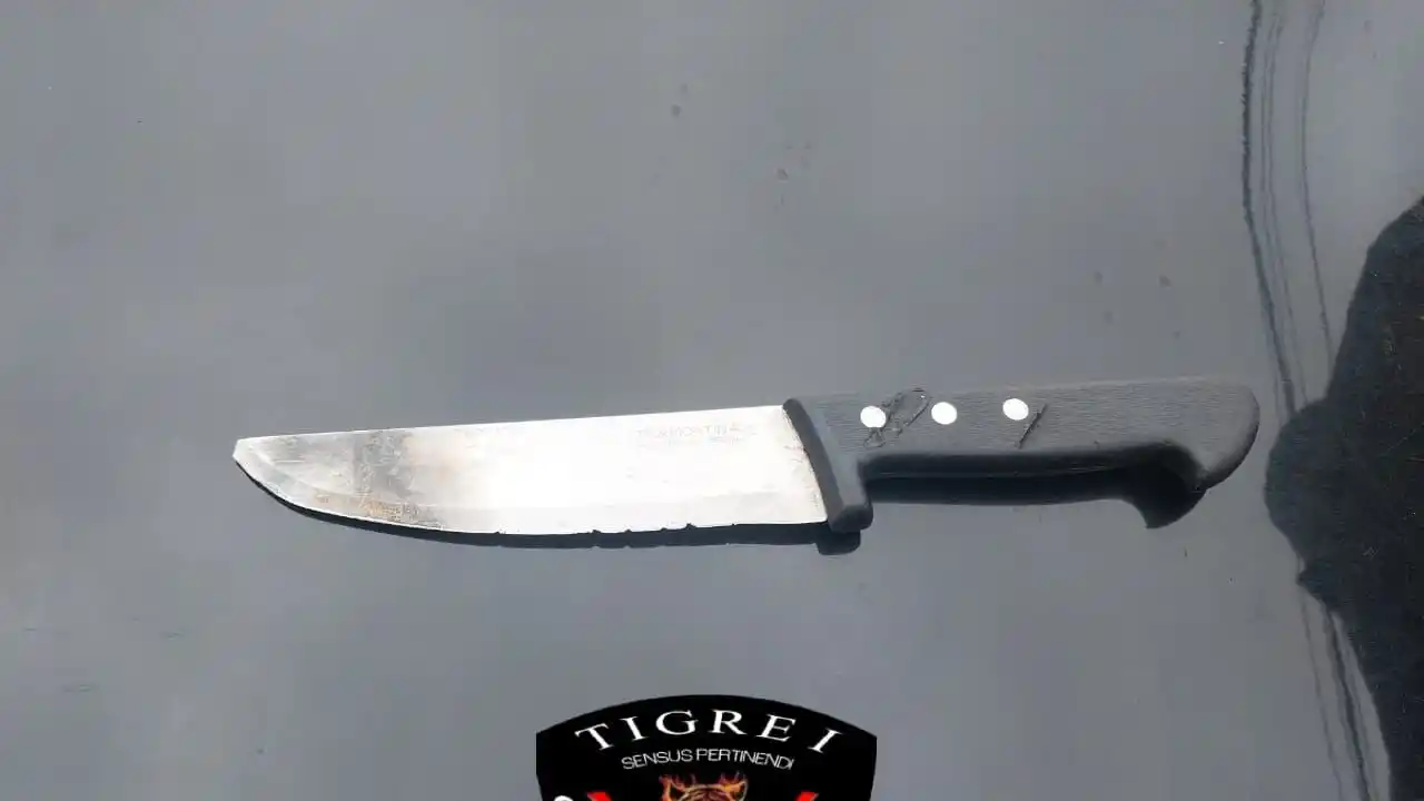 Una joven trató de atacar a su padre con un cuchillo y fue detenida en la zona norte