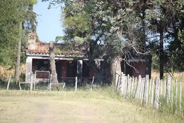 Caso Gill: En la excavación de un pozo encontraron un hueso que será analizado