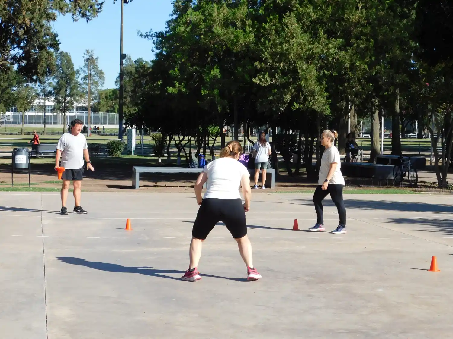 Una gran oferta de actividades por parte del Gobierno de Venado.