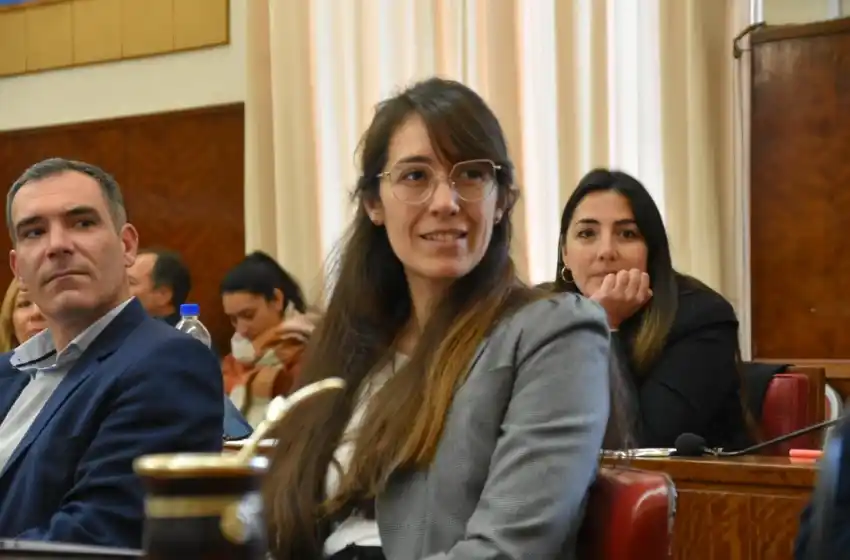 Aprueban la realización de simulacros de sesiones para jóvenes marplatenses