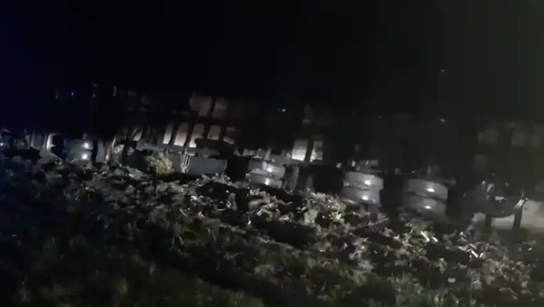 Volcó un camión con pollos congelados en Ruta 39