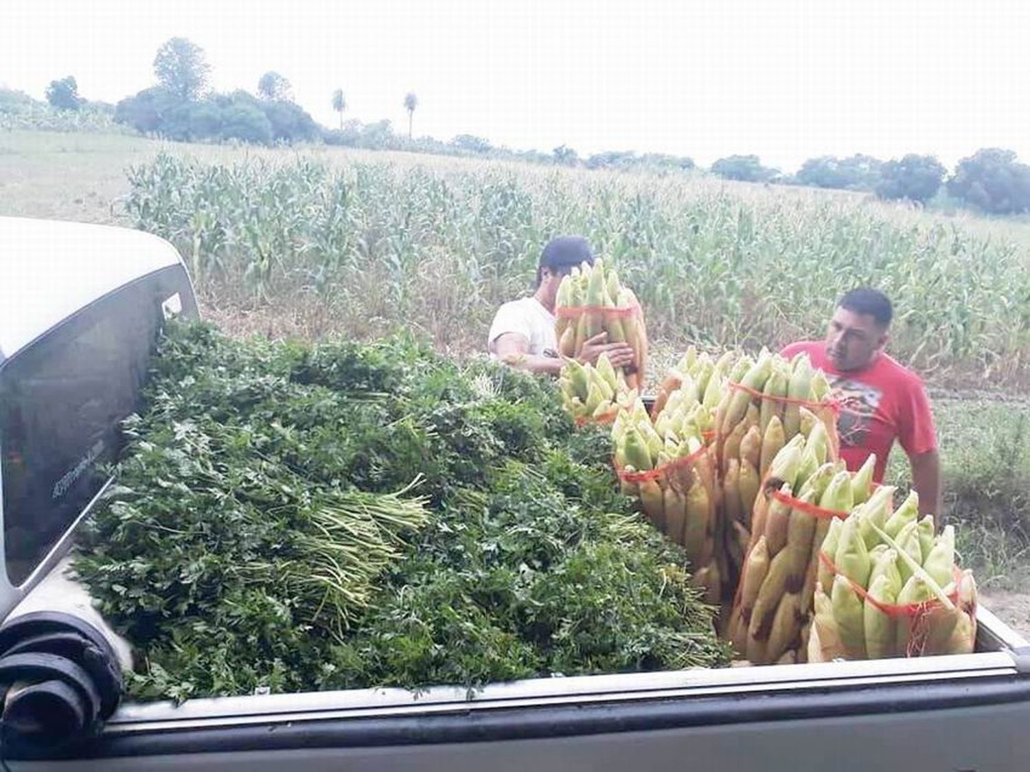 Riacho He Hé: enviaron 14.000 kilos de 
producción local para programas nutricionales