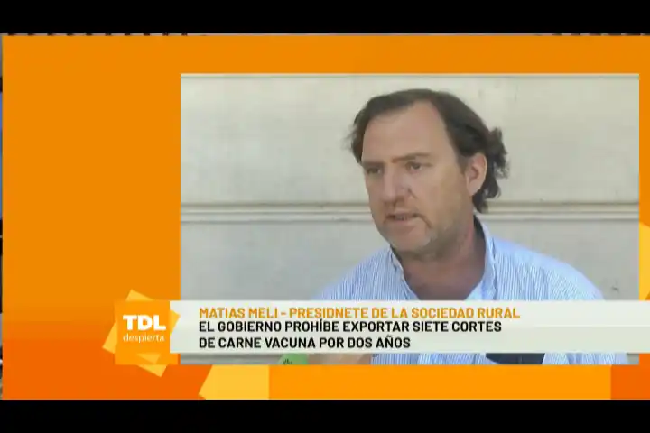 El Gobierno prohibió exportar siete cortes de carne.- Tandil Despierta
