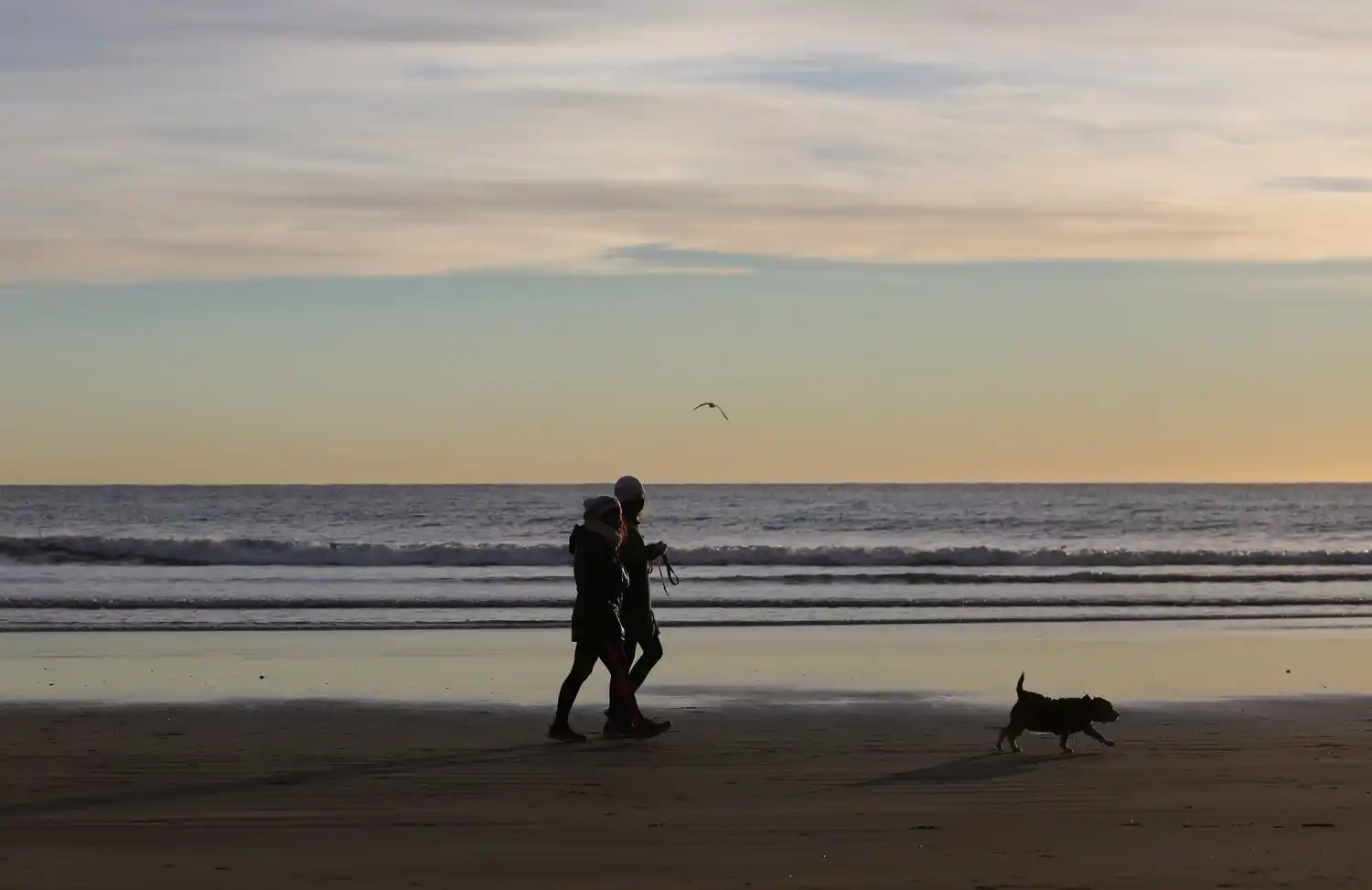 Vacaciones de invierno en Mar del Plata: Llegaron más de 80 mil turistas