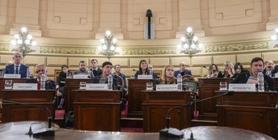 La Convención define reelección y mandatos con cláusula transitoria