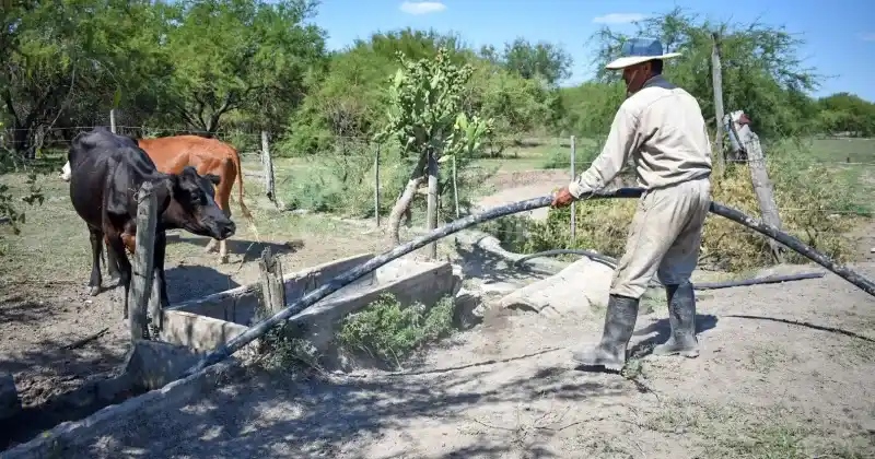 La propuesta está destinada a productores que cuenten con certificado de emergencia y/o desastre agropecuario emitido por el Ministerio de Producción, Ciencia y Tecnología.