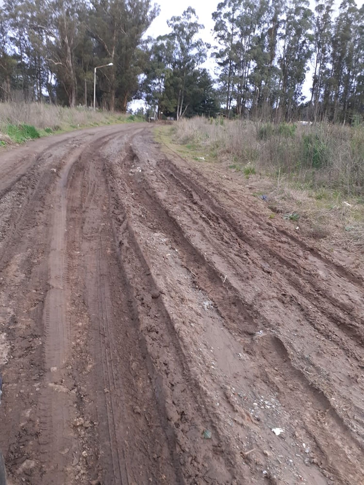 Vecinos de Valle Sereno piden mayor iluminación para evitar los ilícitos