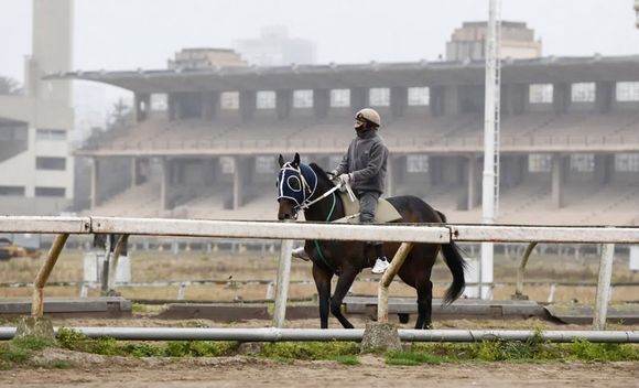 Martes 26: Actividad Hipódromo de  La Plata
