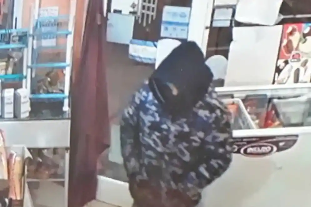 Video: Dos ladrones robaron un kiosco de Cañuelas en 30 segundos