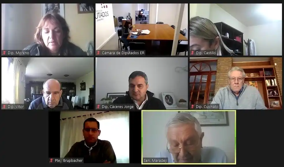 Avanza el tratamiento de proyectos vinculados con el control de peso en rutas