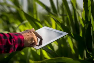 La digitalización redefine la rentabilidad del agro: un nuevo modelo comercial para productores y compradores