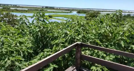 Reclamo: Limpieza de la barranca