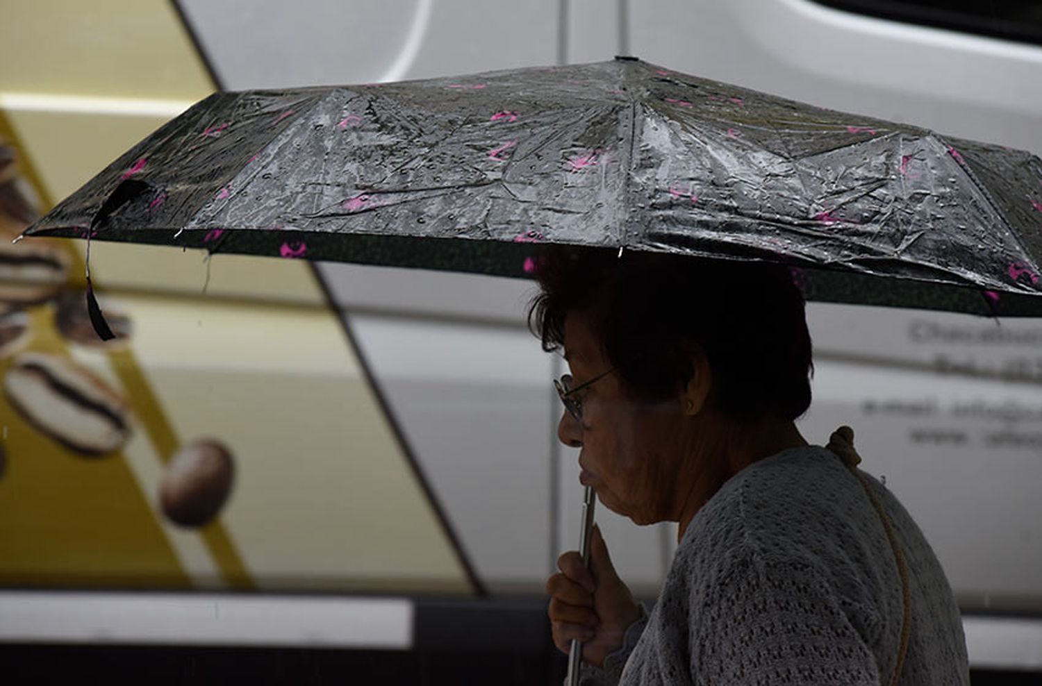 Como si fuera Londres: las lluvias se volvieron a apoderar de la ciudad