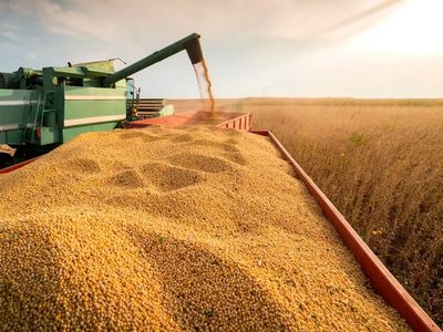 El sector del campo de Gualeguaychú cuestiona el regreso de las retenciones y advierte sobre su impacto