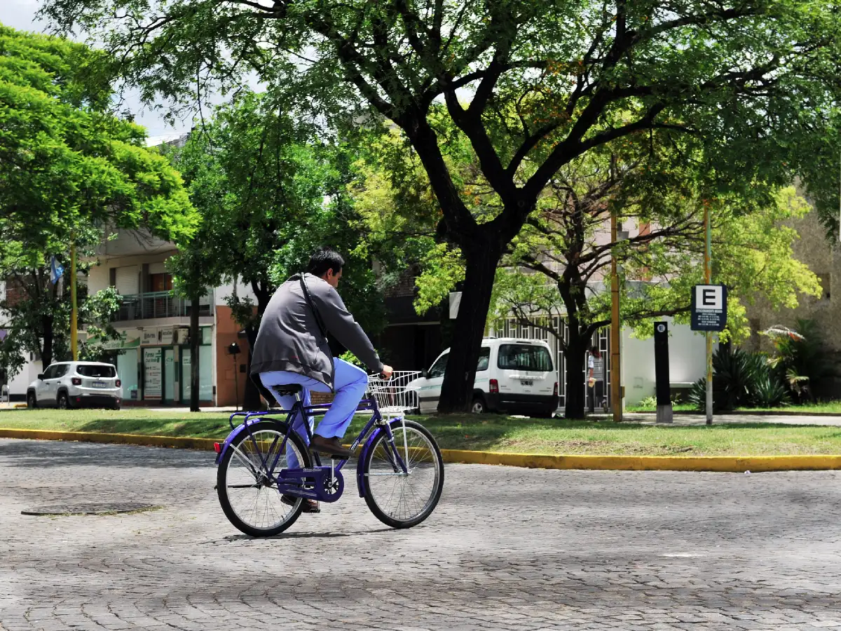 Peatones y ciclistas, eje en 2018 del Programa de Cultura Vial 