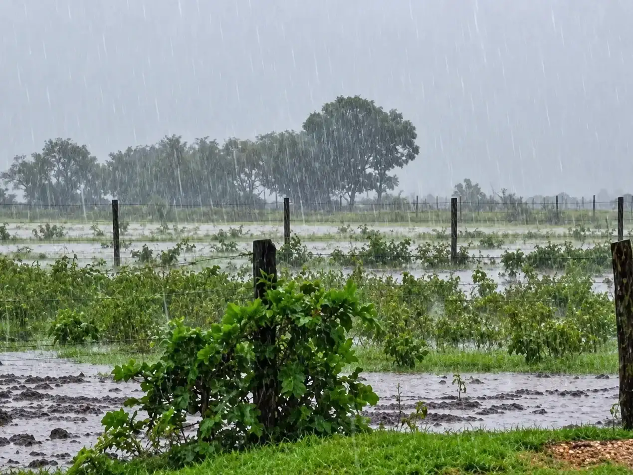 Los datos estadísticos de lluvias perfilan un año climático nuetro para Gualeguay
