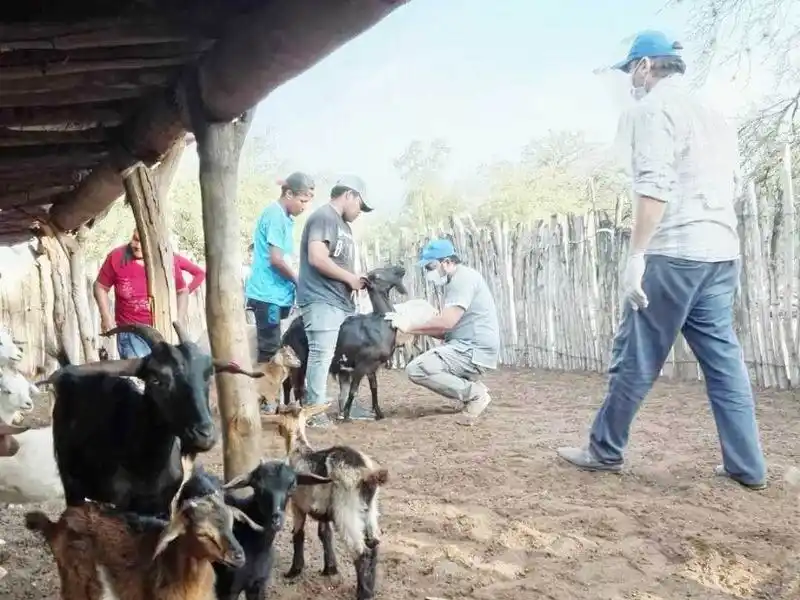 El PAIPPA continúa desplegando diversas
acciones en el Centro Oeste de la provincia