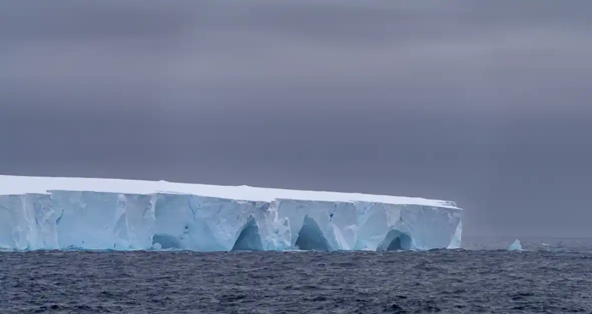 El iceberg más grande del mundo se desprendió y navega por el océano: qué impacto tendrá