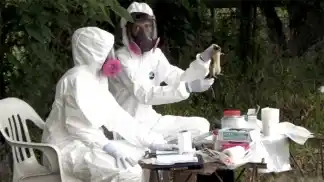 Confirman en Chacabuco el octavo caso de hantavirus en la provincia de Buenos Aires