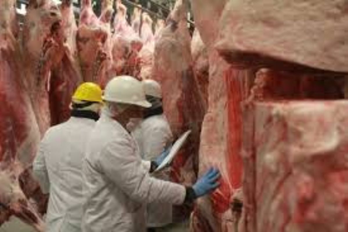 Desde la organización, destacaron que este plan también tendría un impacto positivo en otros sectores, como el transporte y la agricultura,