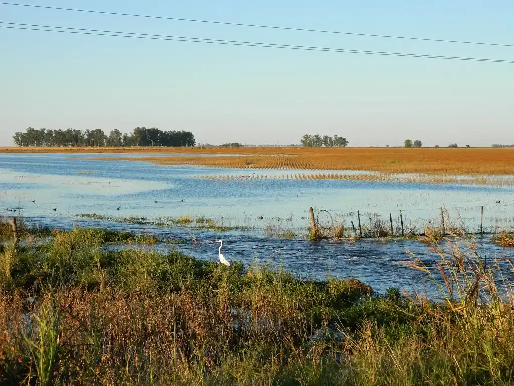 Nación financiará obras para evitar inundaciones en zonas productivas