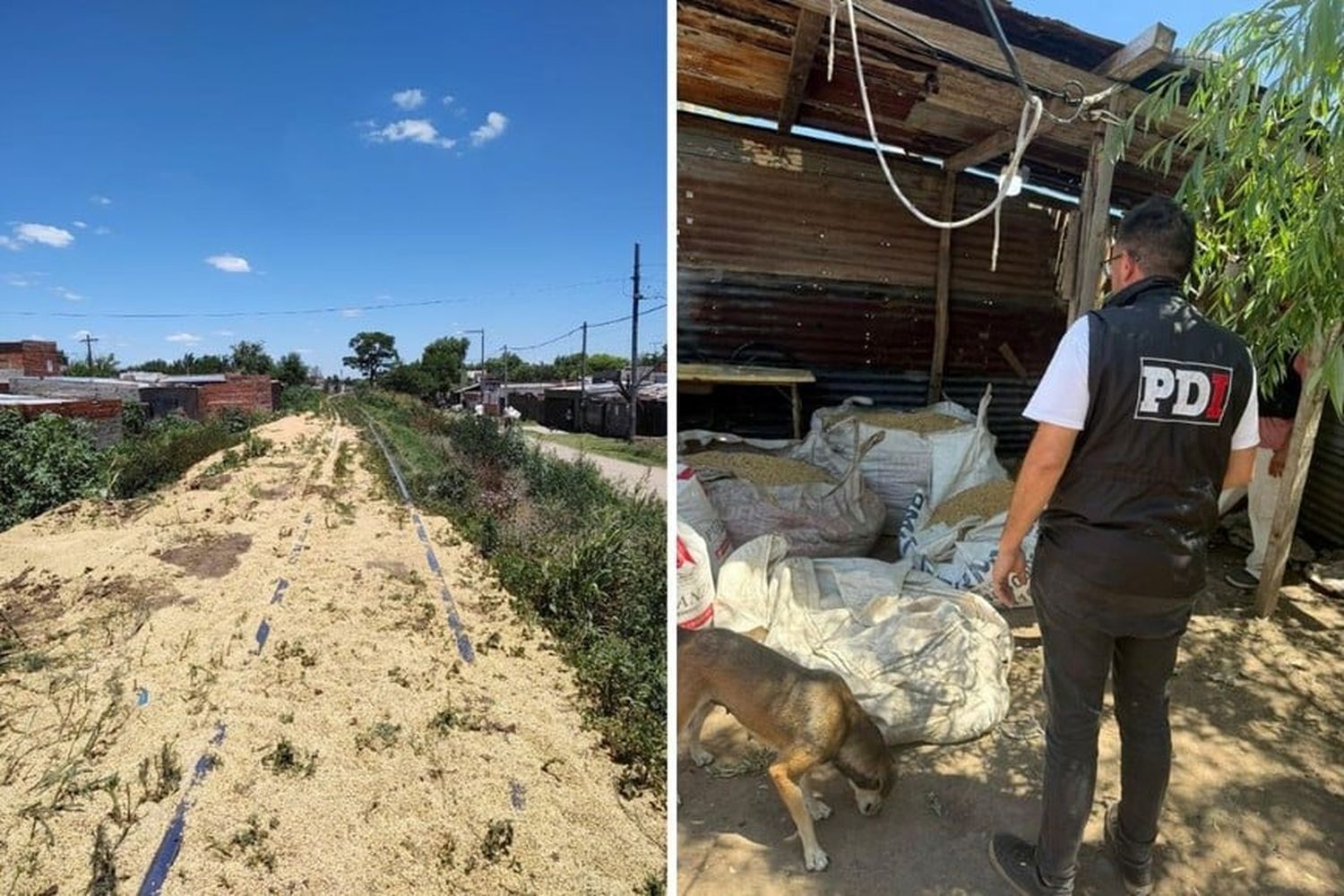 Inseguridad: nuevo robo al tren sojero en Santa Fe