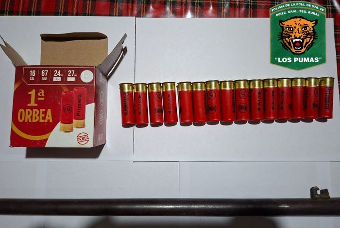 Un presidente comunal denunció la faena ilegal de un animal de una empresa agropecuaria - 2