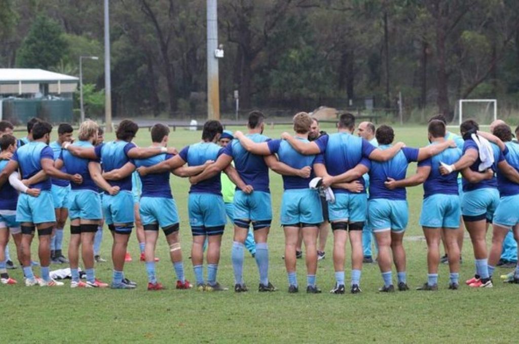 Los Pumas recuperan lesionados y se preparan para jugar un amistoso