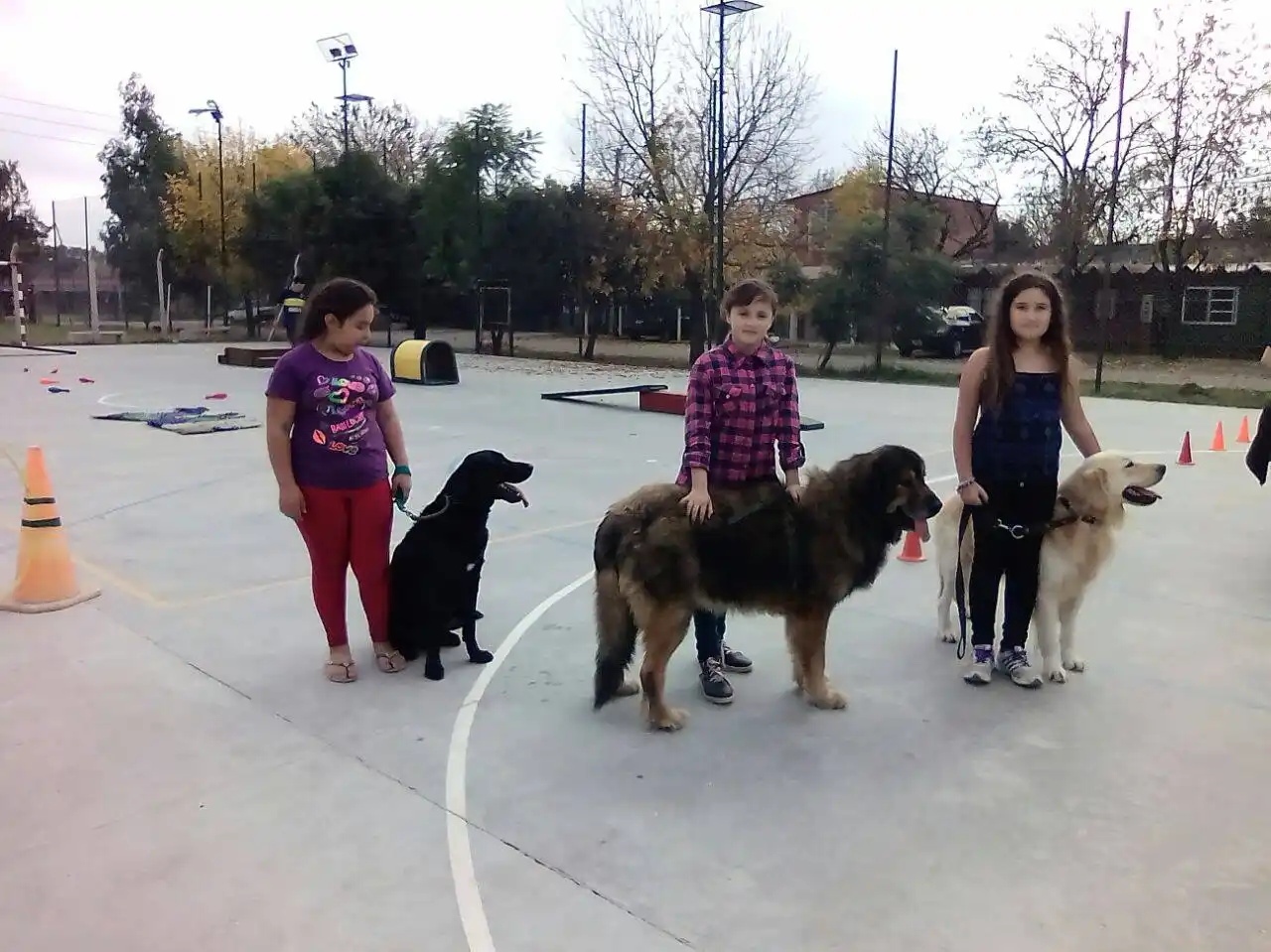 Zooterapia en Ituzaingó: 230 pacientes reciben asistencia terapéutica con animales
