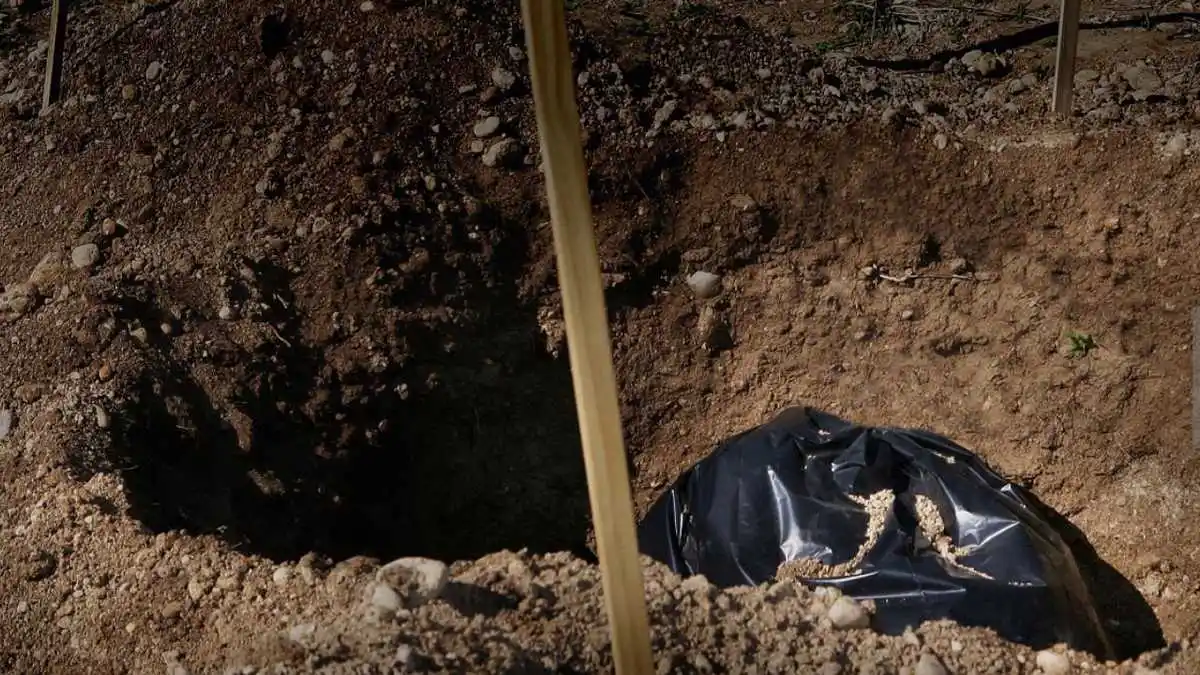 CONOCE, el «modus operandi» de la banda “Los Maracuchos” conformada por venezolanos