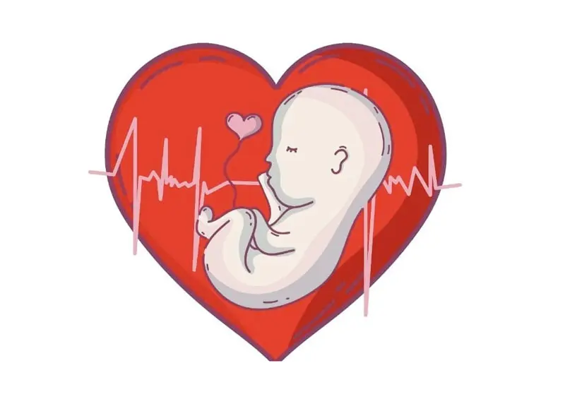 “Corazones que laten con historia: la importancia del control en cardiopatías congénitas corregidas en adultos"