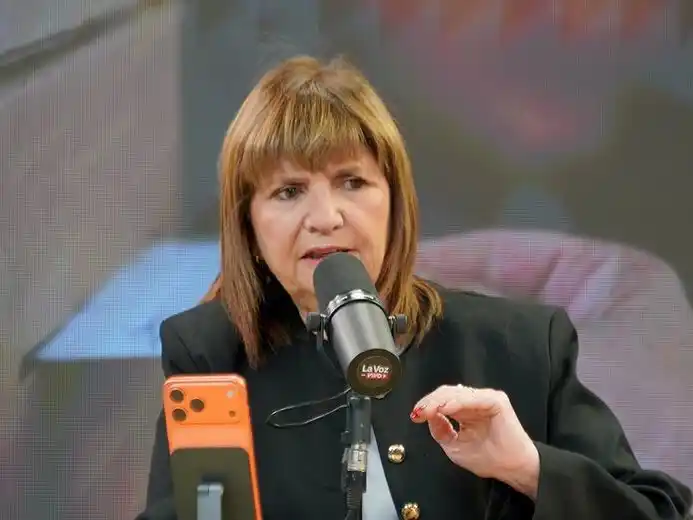 Patricia Bullrich denunció a Tapia y Toviggino.Foto:La Voz