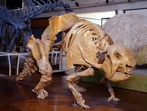 La Plata: Presentan libro y documental sobre paleontología en la región pampeana