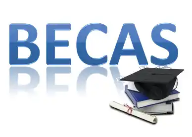 Becas: solicitan documentación