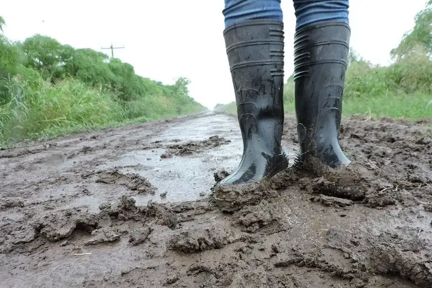 Campo lluvia