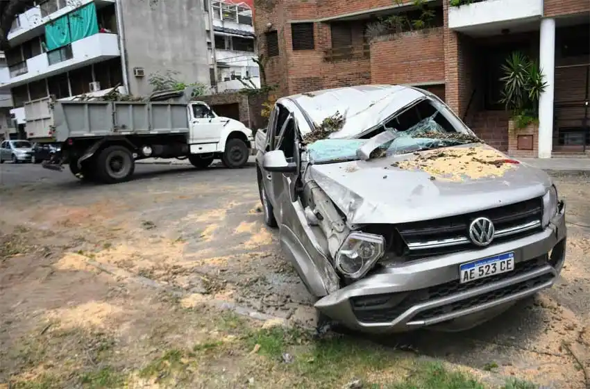 Un árbol de gran tamaño cayó y aplastó a una camioneta en pleno parque Urquiza