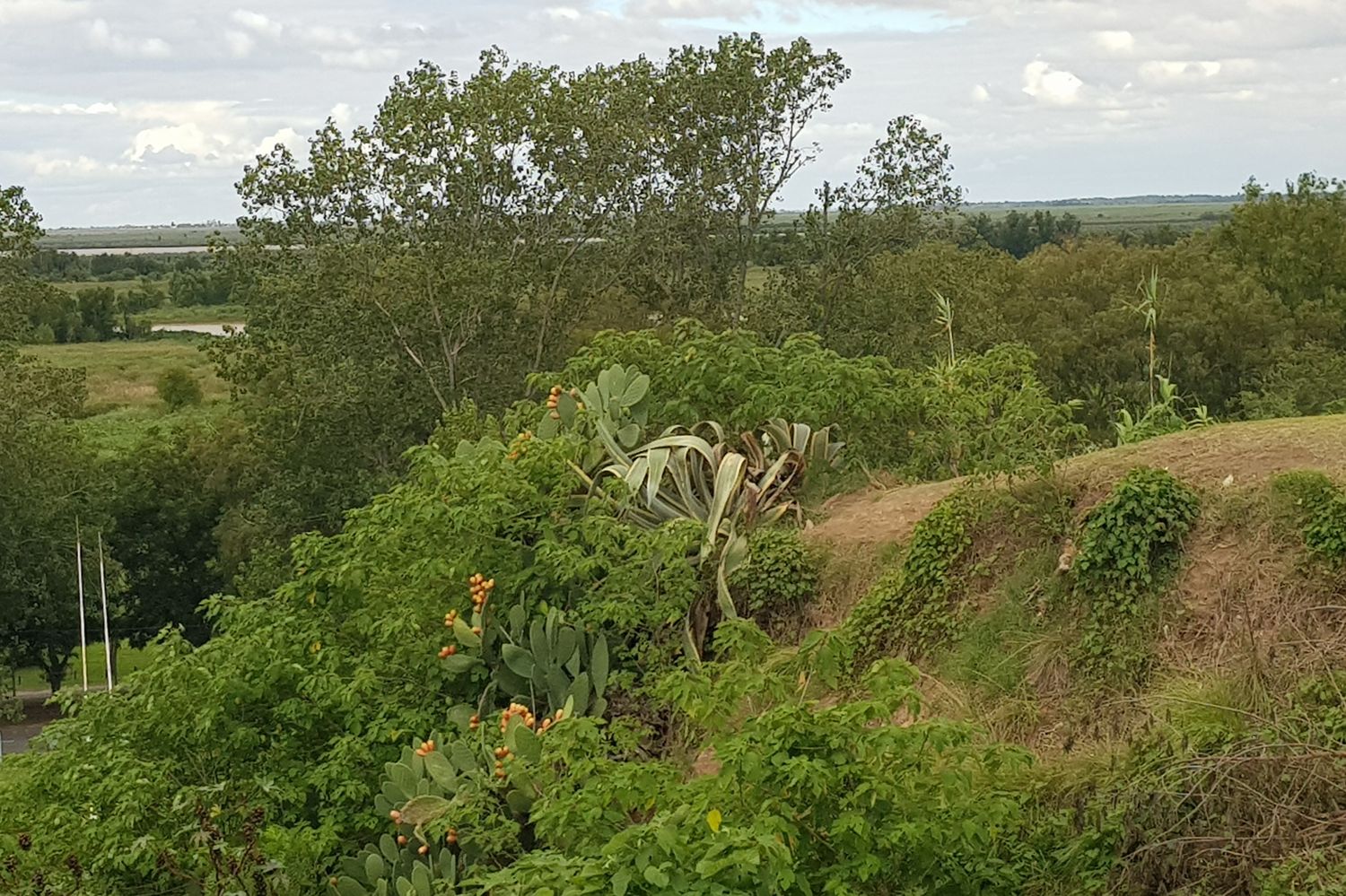 Aprobaron un "programa de conservación de barranca" para evitar derrumbes