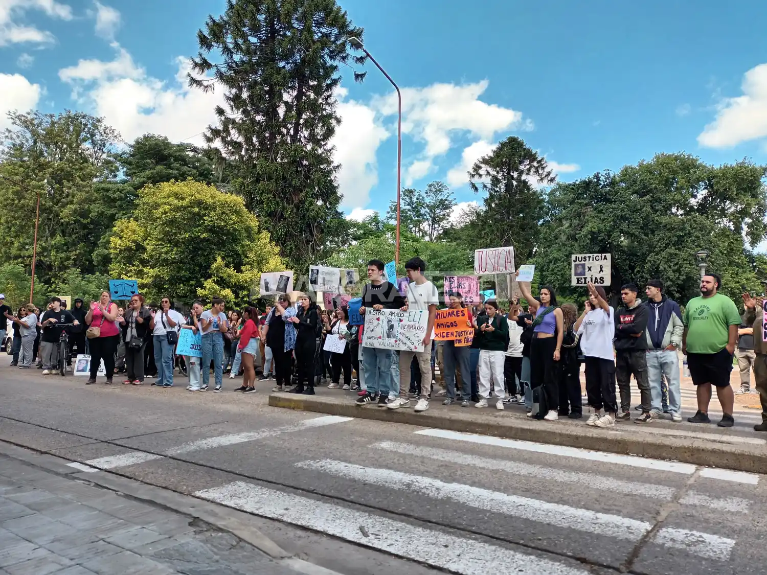 elias benitez marcha - 2