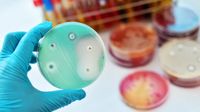 Media sanción de ley contra la resistencia antimicrobiana que amenaza la salud pública