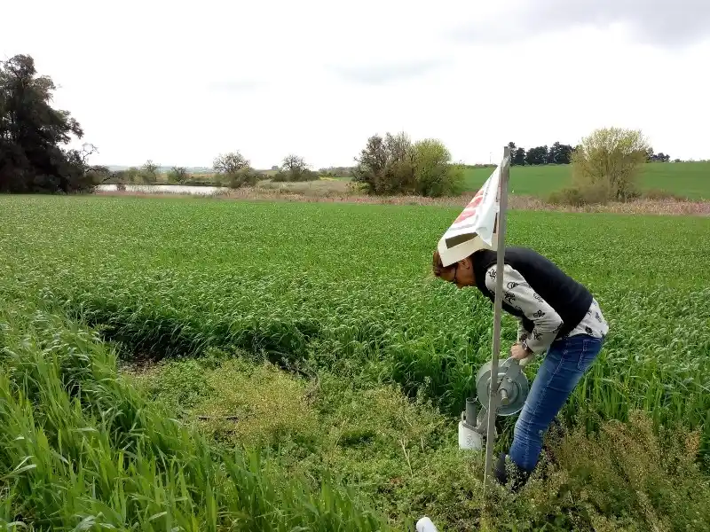Evalúan estrategias para la remediación ambiental de los agroecosistemas