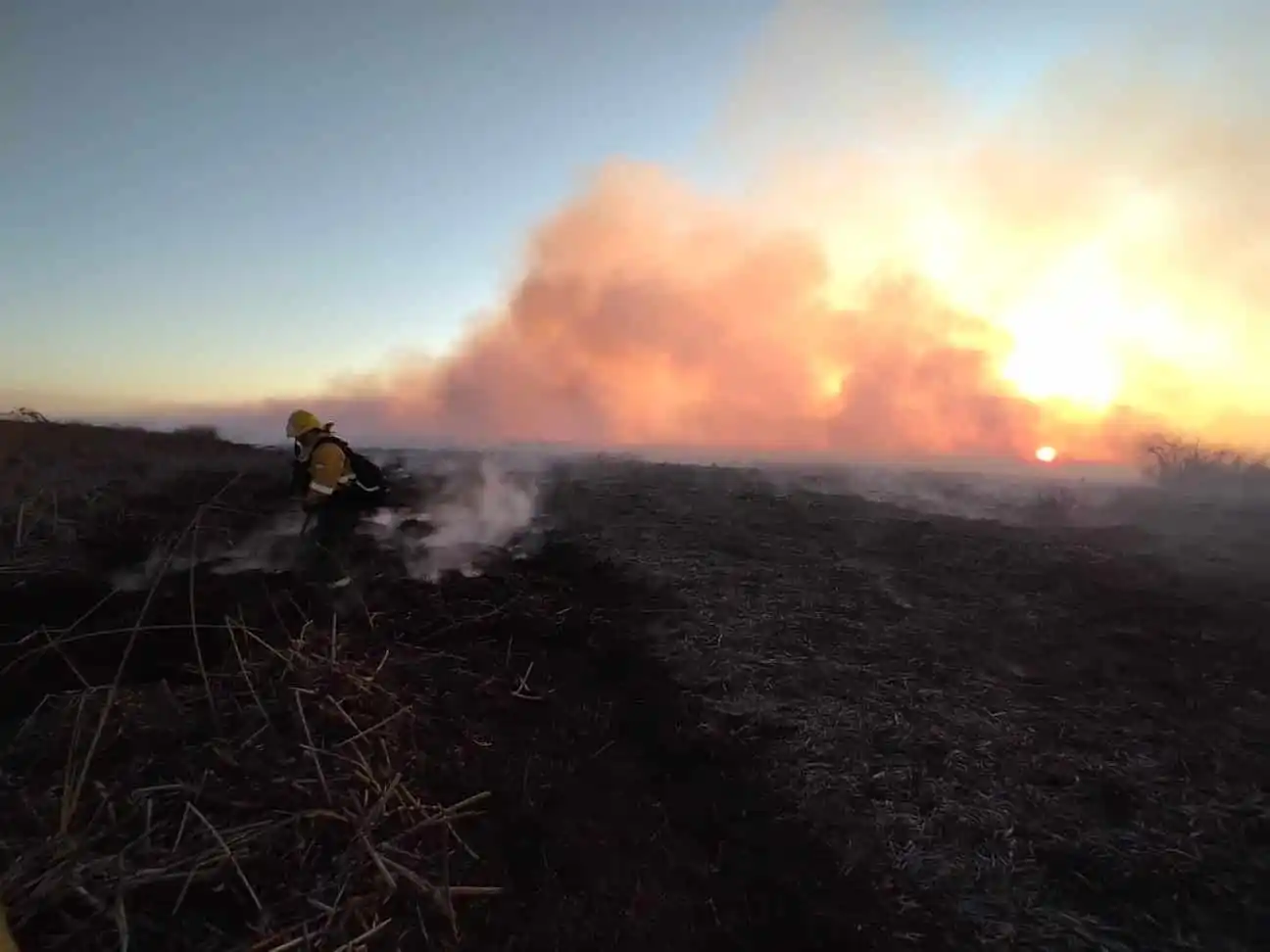 Qué pasa en nuestros humedales