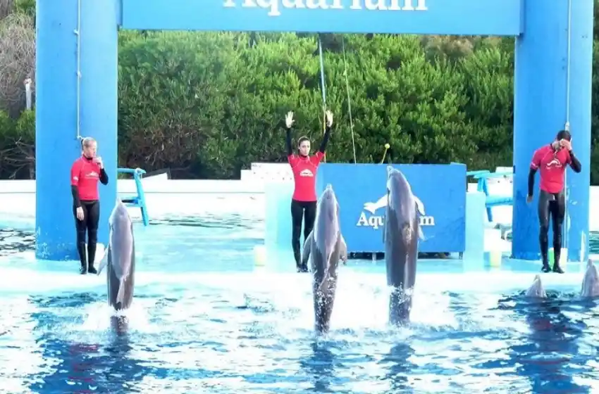 Supertenedores y otra gran jornada solidaria en Mar del Plata