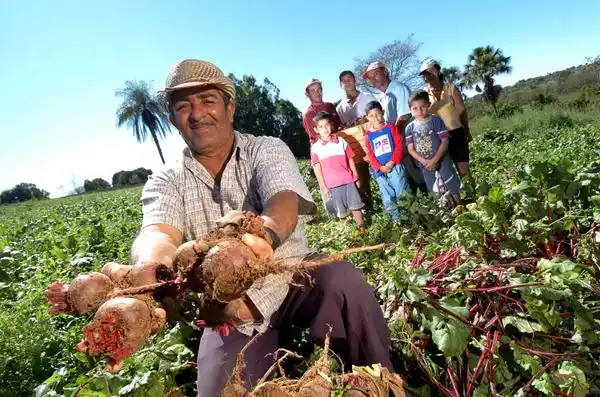 San Isidro Labrador y los campesinos de hoy