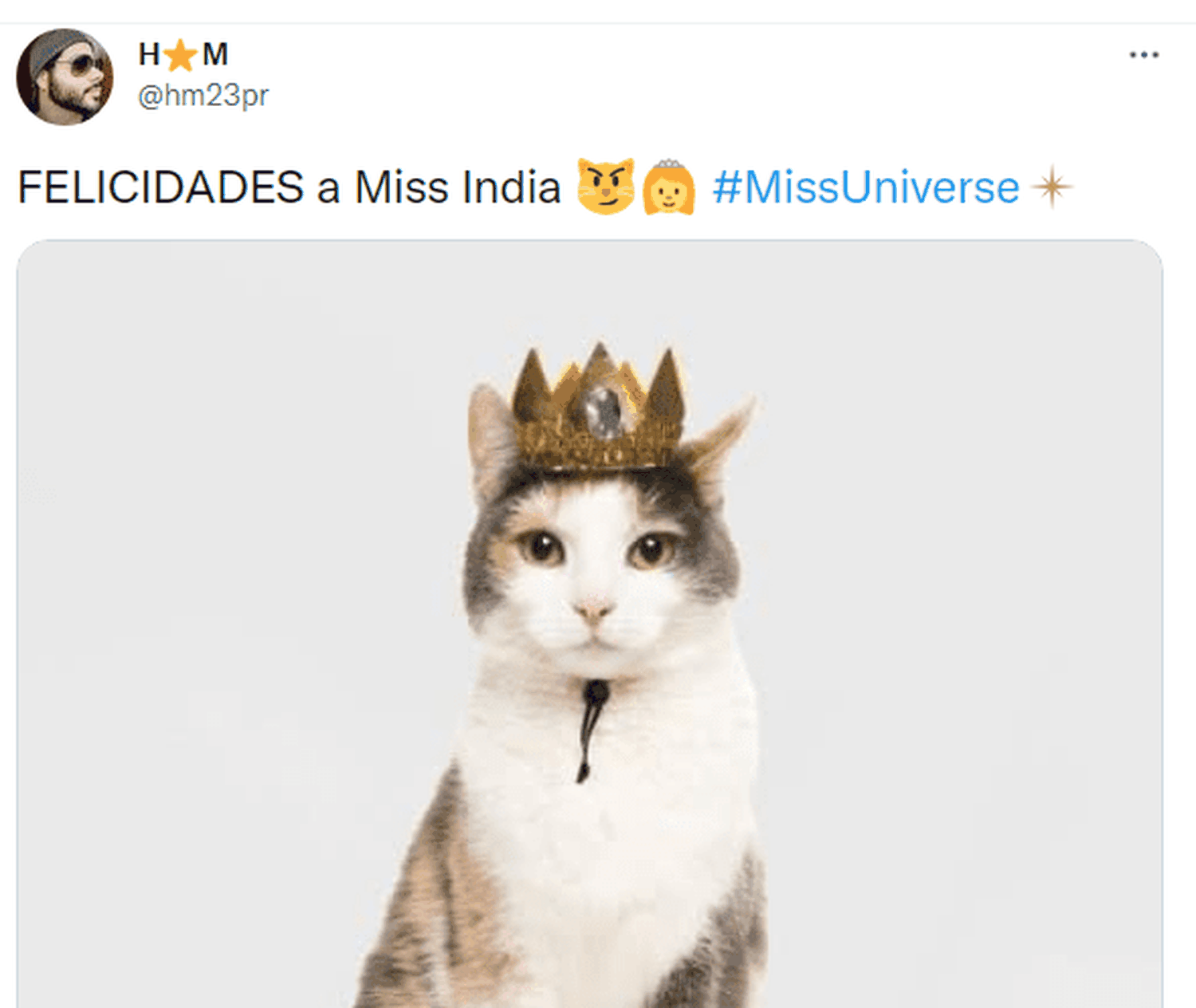 La imitación de gato de Miss Universo 2021 dio para todo. Foto Twitter