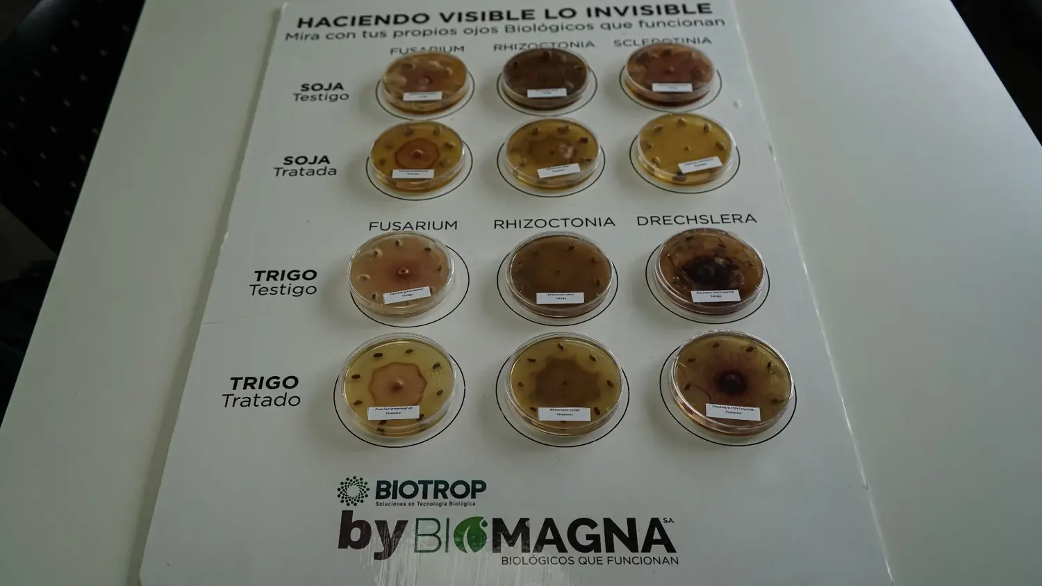 Los insumos biológicos ganan terreno frente a los químicos y demuestran superioridad agronómica y económica