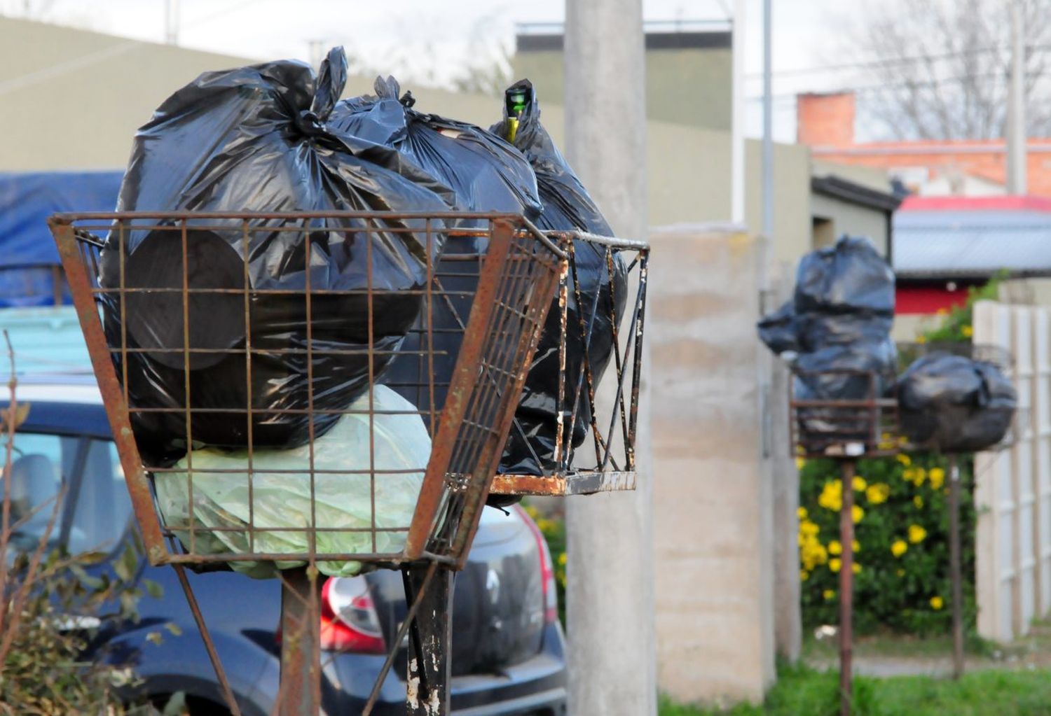 Vecinos de Villa Aguirre denuncian que los recolectores no pasan y el barrio se llena de ratas