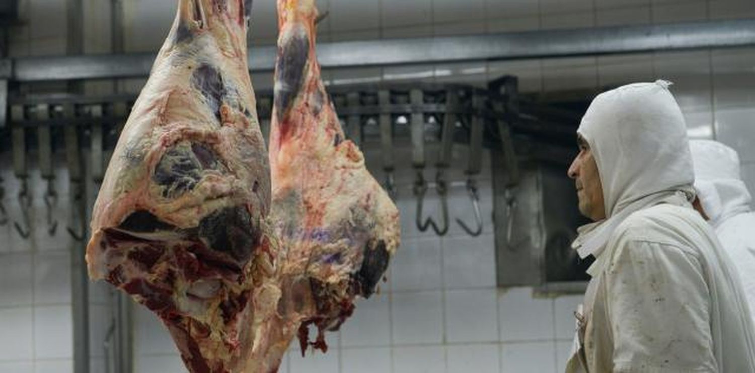 Los feedloteros expresaron su disconformidad con la baja del peso mínimo de faena