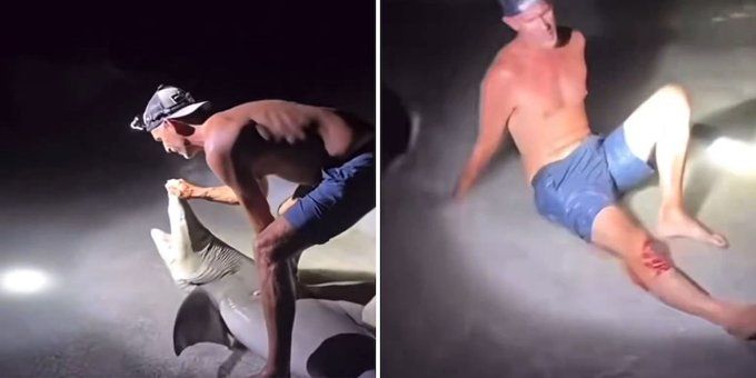 Un tiburón limón muerde a un pescador en Cayo Costa durante una sesión de pesca nocturna en Florida