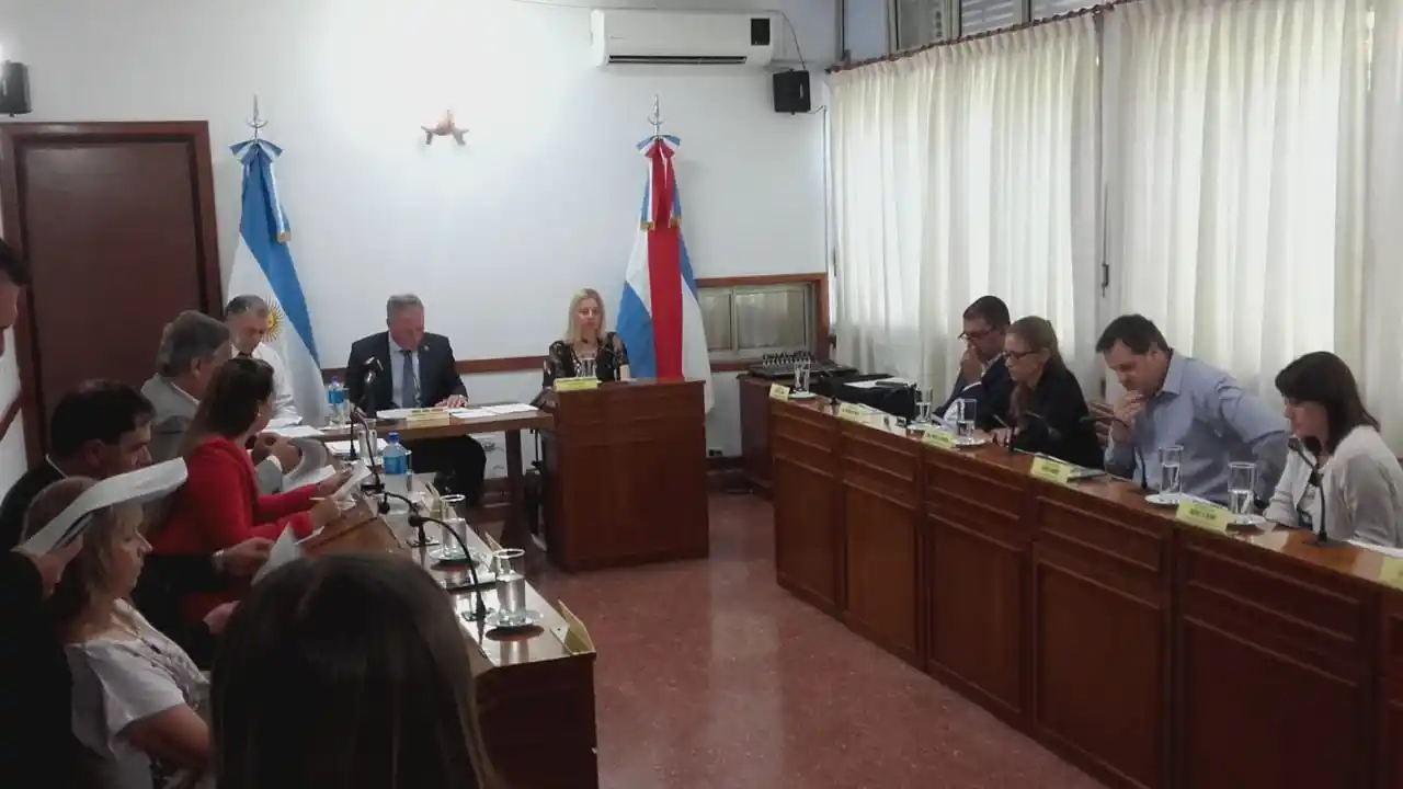 Schneider realizó la Apertura de Sesiones Ordinarias 2019 del Concejo Deliberante