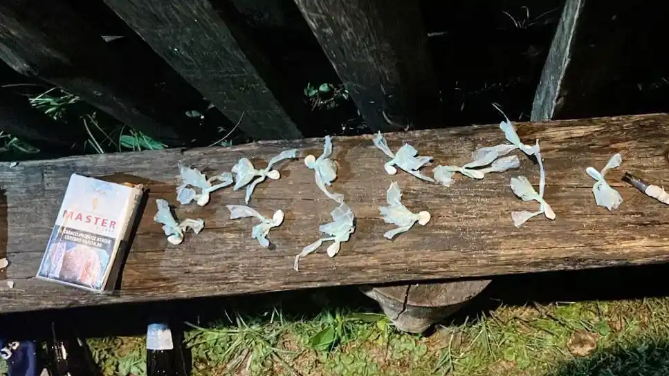 Dos aprehendidos por tenencia de estupefacientes con fines de comercialización